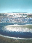 sparkling pools