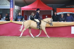 SBM_09636