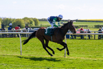 Race 3 portfolio