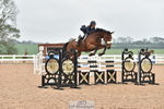 Cls 5 Foxhunter & 1.20m Open portfolio