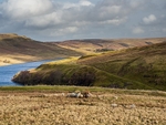 Scar House Reservoir