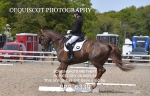 BPP_6339