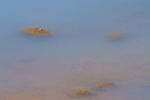 Geyser Detail 1