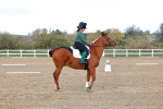 SBM_002348