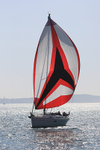190825 PELOGISA - OCEANIS 361 1Y3A2433