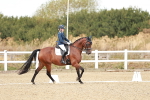 SBM_009508