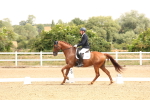 SBM_005533