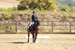 SBM_000728