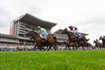 Race 1 1.50pm Sky Bet And Symphony Group Handicap portfolio