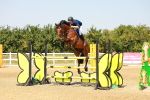 SBM_002273