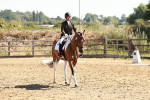 SBM_000798