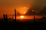 Autumn Sunset