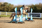 SBM_002856