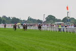 170524-Race 4-Giavellotto-8053