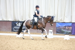 SBM_005313