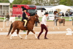 SBM_01081