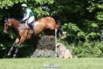 312-J'ADORE_SALSA-Michael_Owen-XC portfolio