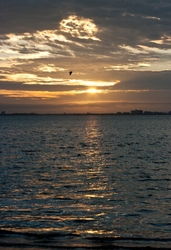 SunBeachWater  _0064