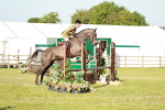 SBM_20146