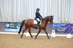 SBM_002498