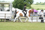 SBM_17626