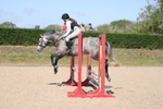 Unaffiliated Show Jumping portfolio