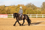 SBM_003260