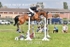 BPP_0921