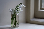 Monday 9th Feb 2009