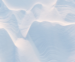 SNOW SCULPTURE #2 - NORFOLK COUNTY
