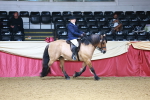 SBM_23779