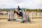 SBM_006523