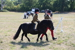 WJ6_7446