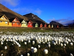 Longyearbyen 0148