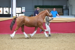 SBM_16623