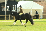SBM_66624