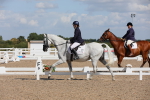 SBM_03917