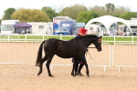 SBM_16579