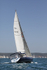 190629 FIREFLY GBR8078R D43A4471