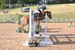 BPP_2395