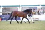 SBM_09769