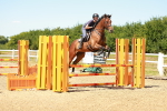 SBM_006535