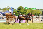 SBM_06685