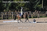 BPP_8227