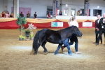 SBM_18495