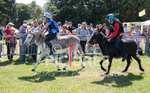 Donkey Derby_2016-14