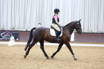 SBM_001870