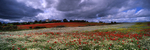 A Splash of Rain a Splash of Colour, Levening