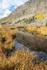 Beaver Pond reflections 3