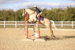 SBM_003608